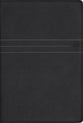NIV Biblical Theology Study Bible, Black (Black Letter Edition)