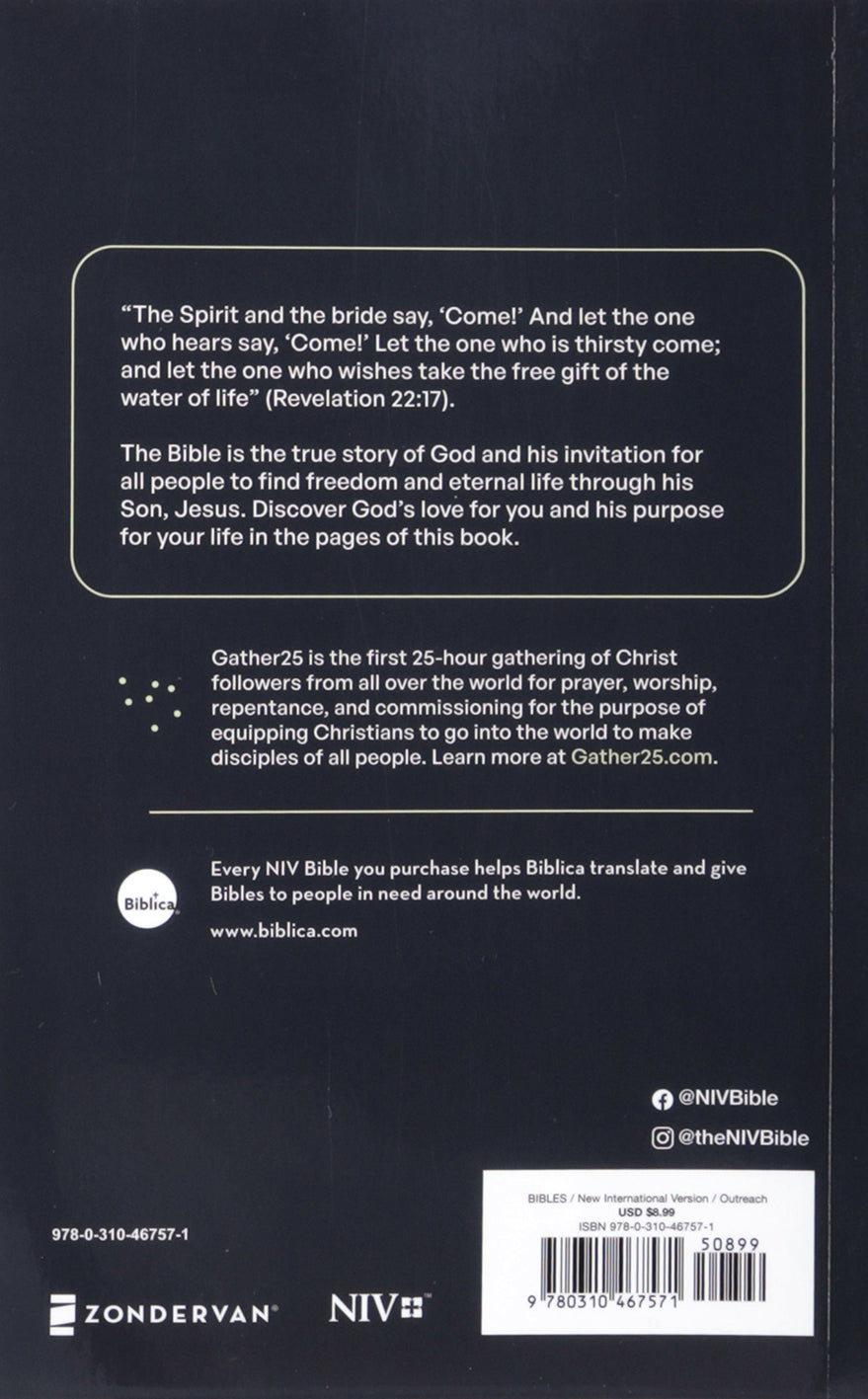 NIV Jesus Everywhere Outreach Bible, Larger Print