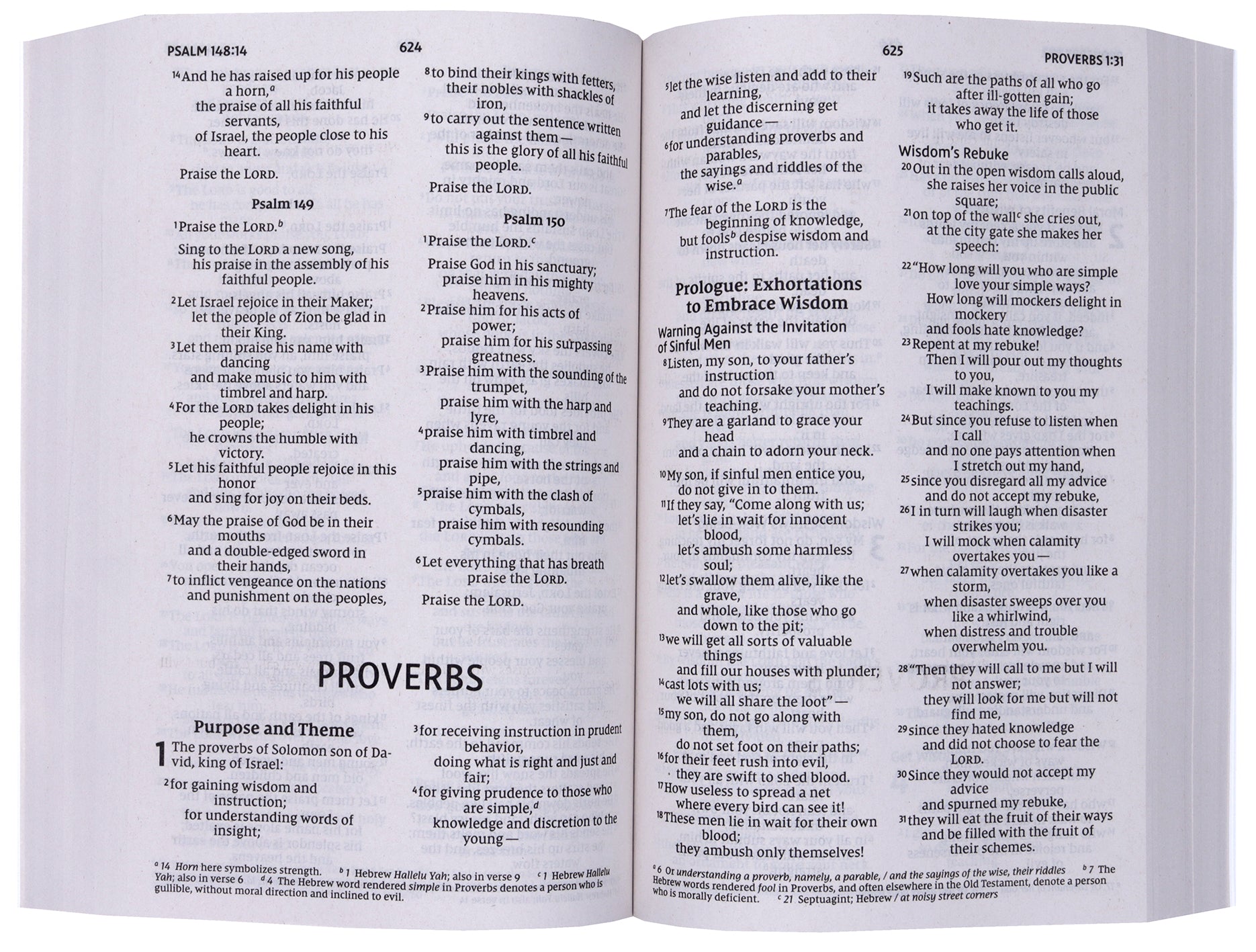NIV Jesus Everywhere Outreach Bible, Larger Print