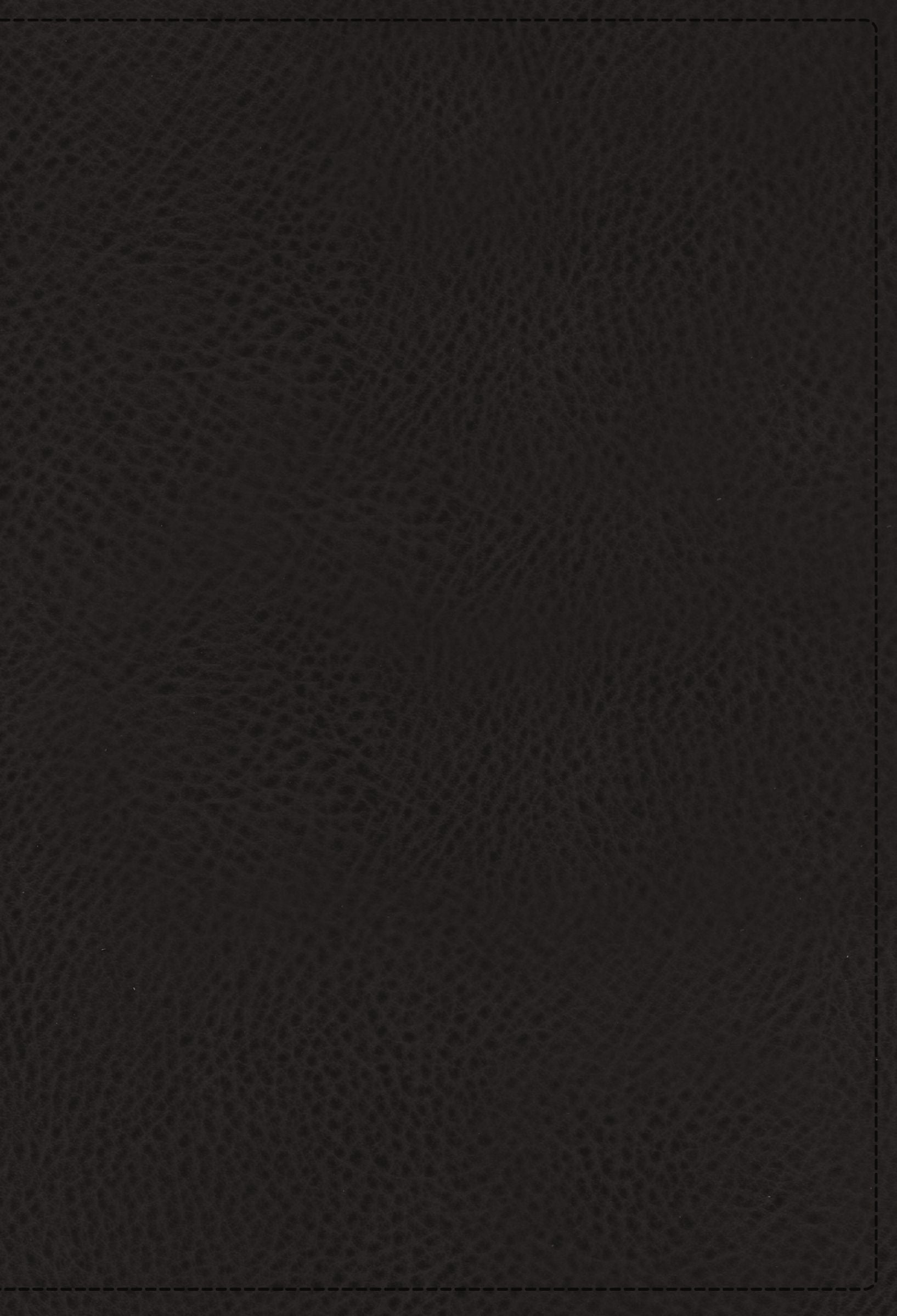 NIV Application Bible, Black (Red Letter Edition)