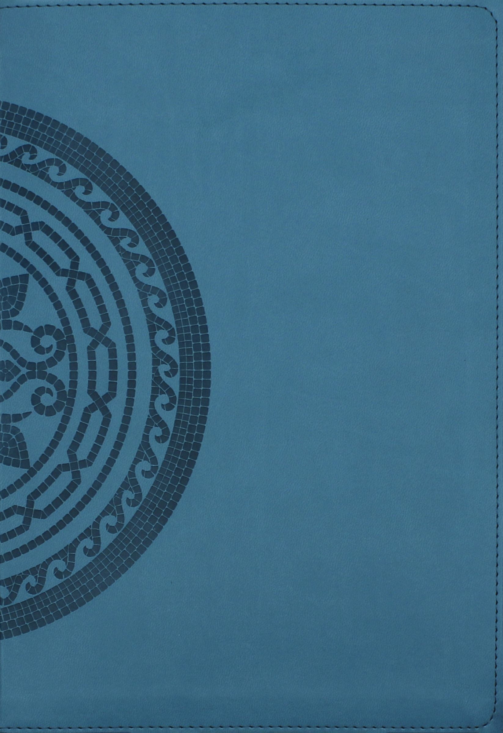 NIV Application Bible, Large Print Teal (Red Letter Edition)