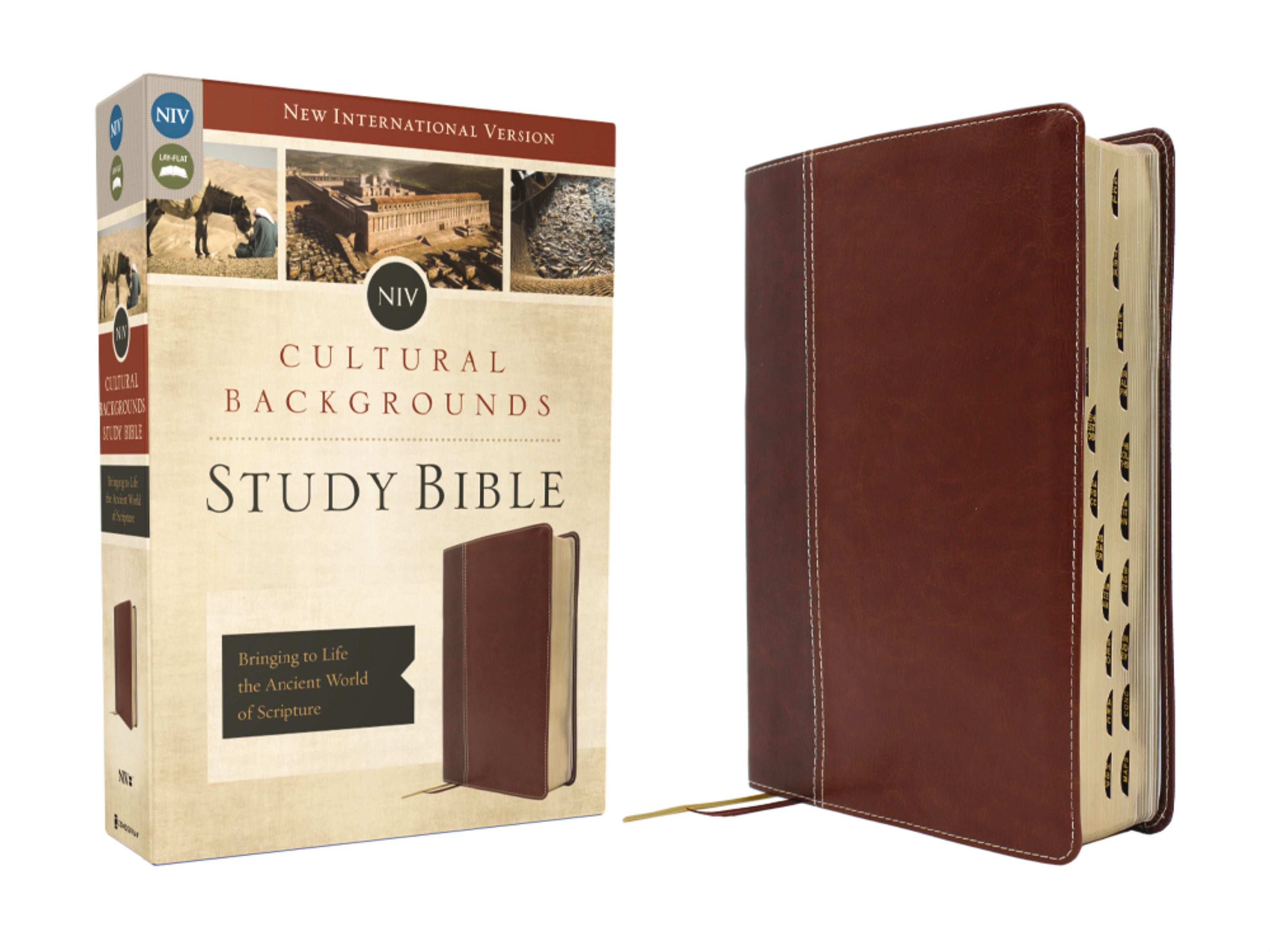 NIV Cultural Backgrounds Study Bible, Brown Indexed (Red Letter Edition)