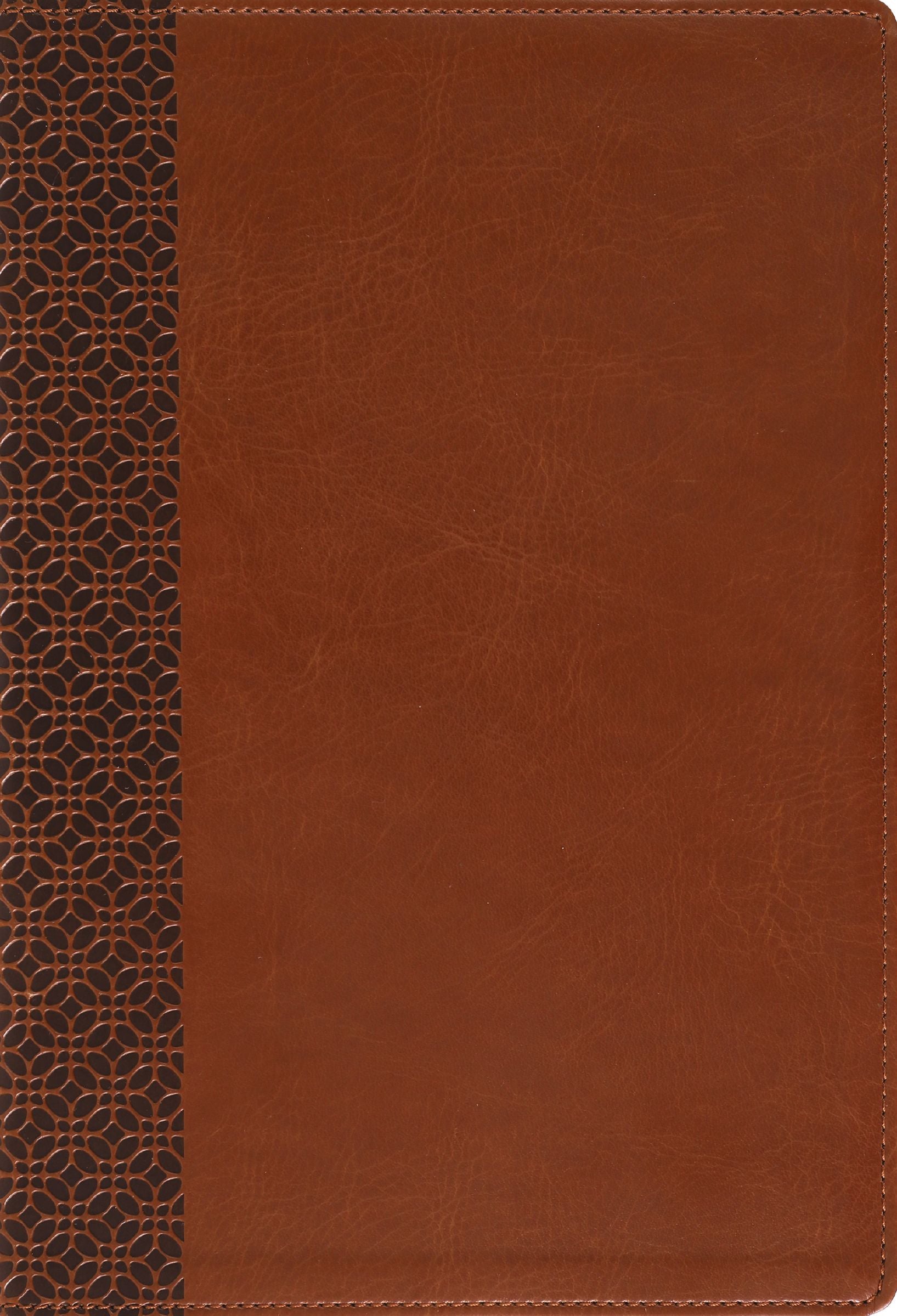 Amplified Holy Bible Large Print, Brown