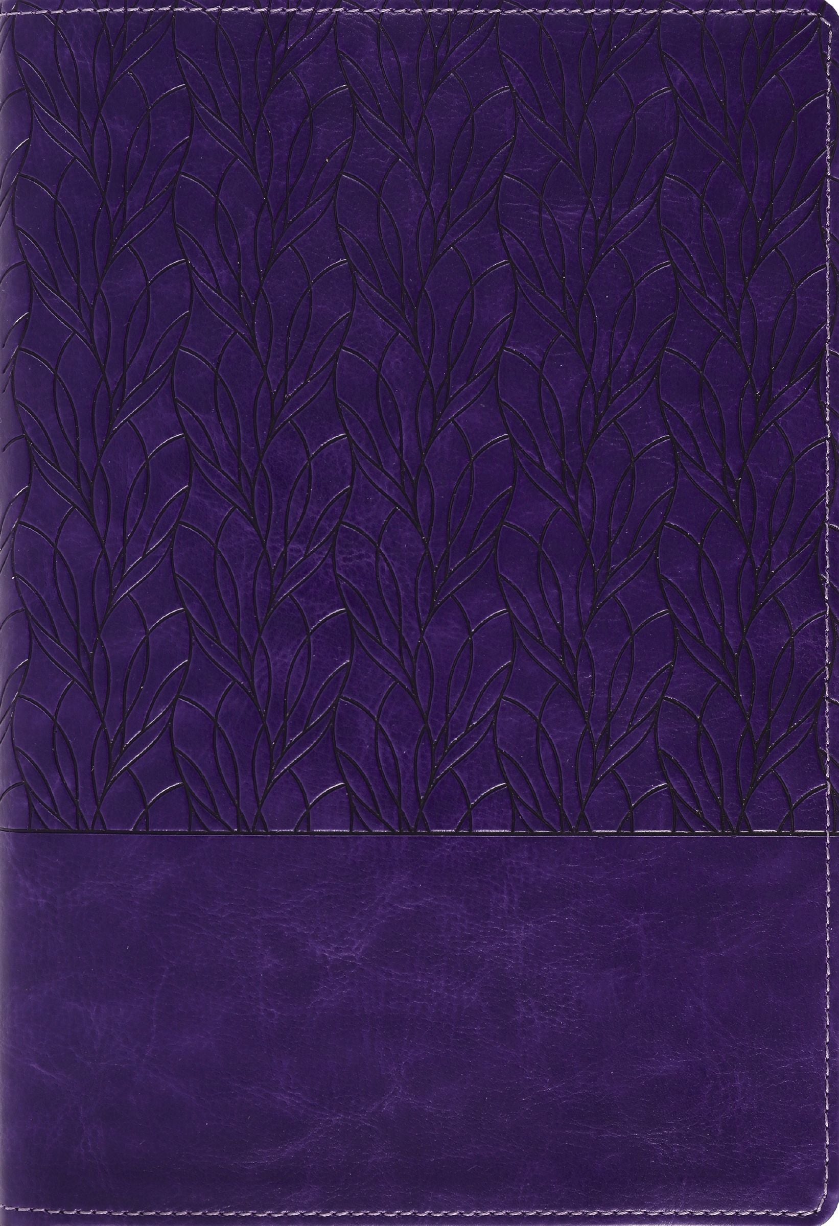 Amplified Holy Bible Large Print, Purple