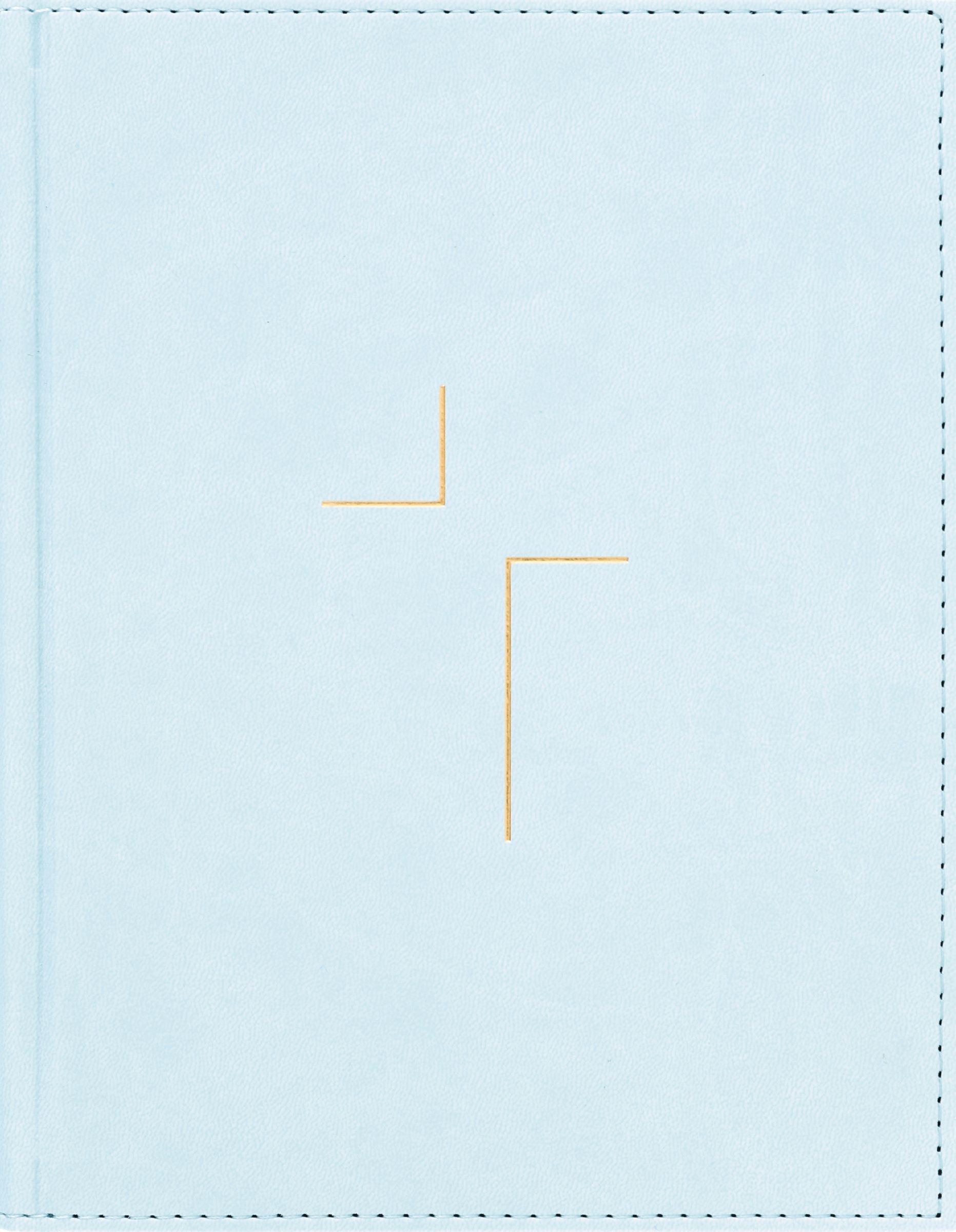 NIV The Jesus Bible, Blue