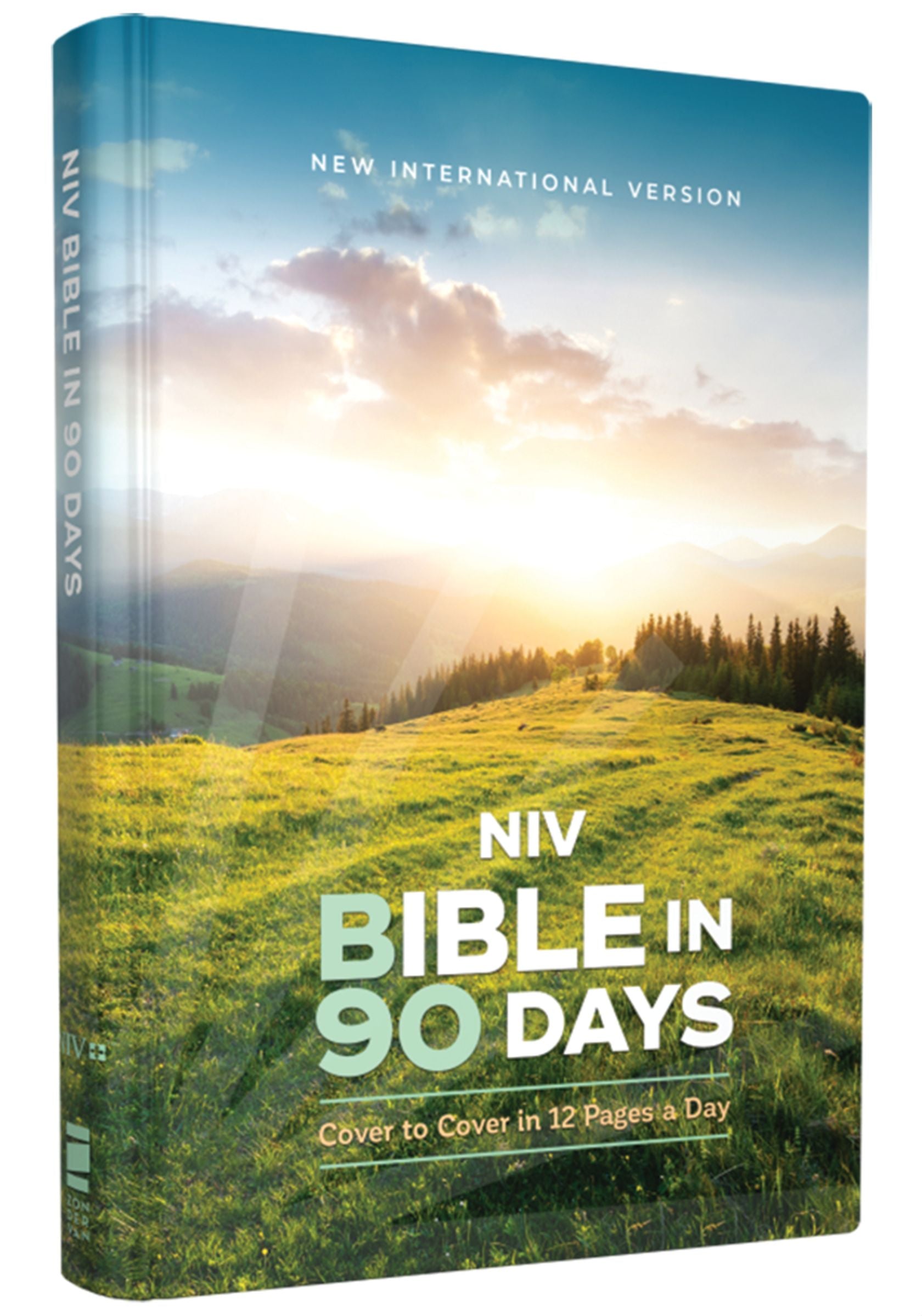 NIV Bible in 90 Days