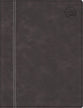 NIV Bible for Men Gray Thumb Indexed