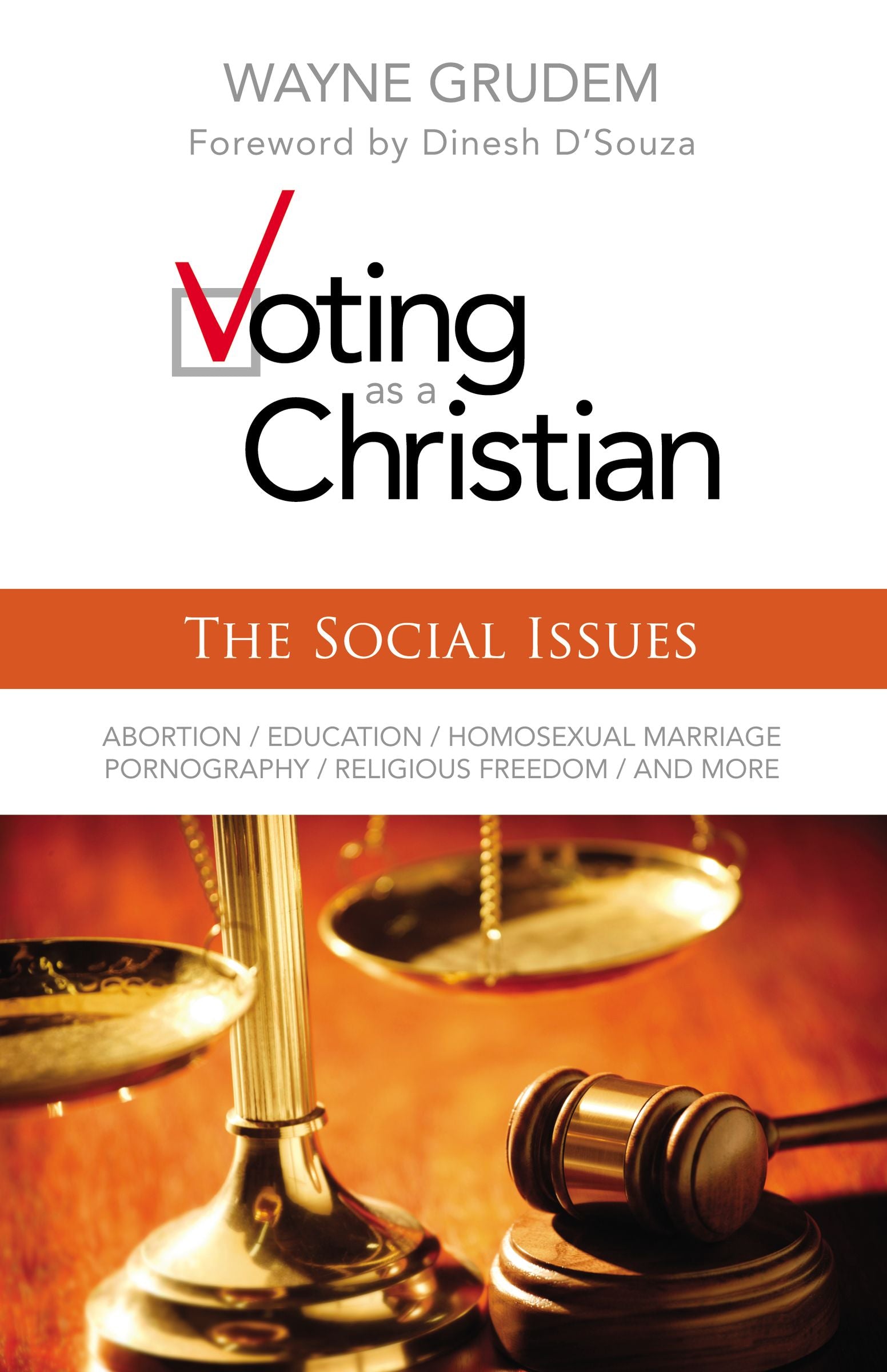 Voting as a Christian: Social Issues