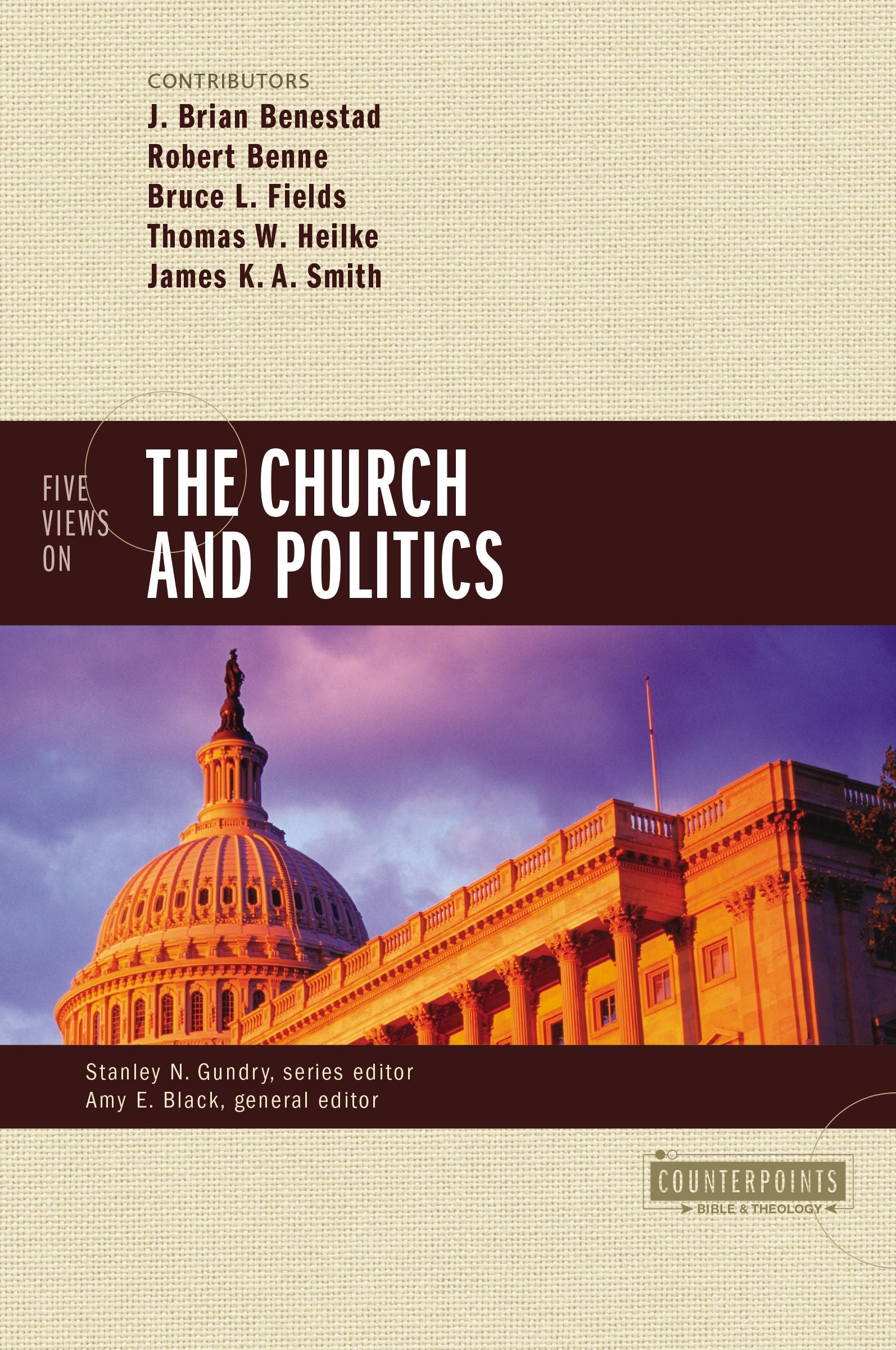 Five Views on the Church and Politics (Counterpoints Series)