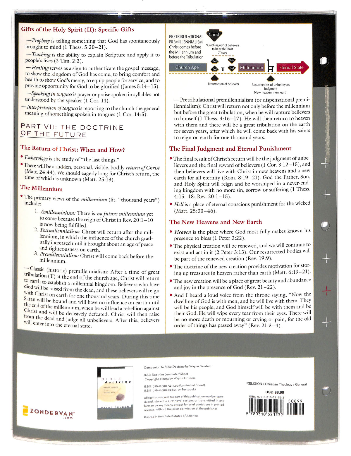 Bible Doctrine (6 Laminated Sheets)