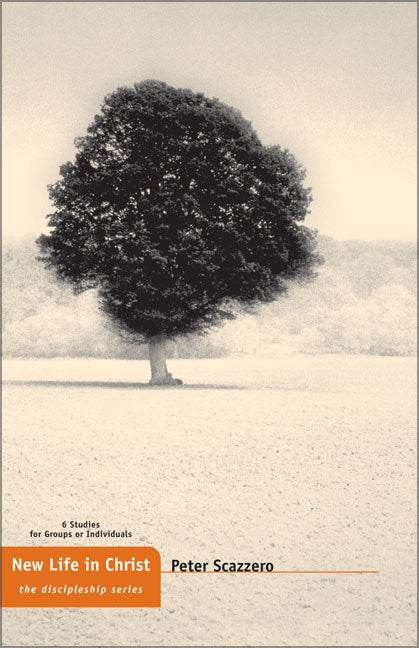 New Life in Christ (The Discipleship Series)