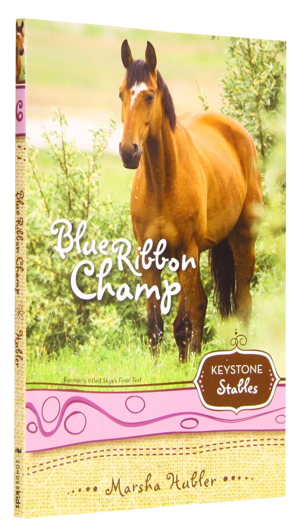 Blue Ribbon Champ (Formerly Skye's Final Test) (Keystone Stables Series)