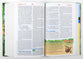 NIRV Adventure Bible For Early Readers (Black Letter Edition)