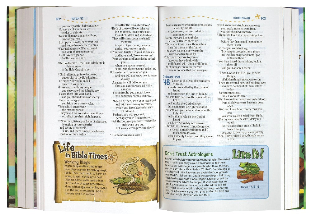 NIV Adventure Bible (Black Letter Edition)