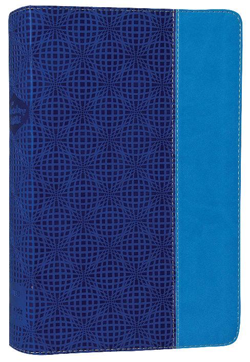 NIV Adventure Bible Electric Blue Ocean Blue (Black Letter Edition)