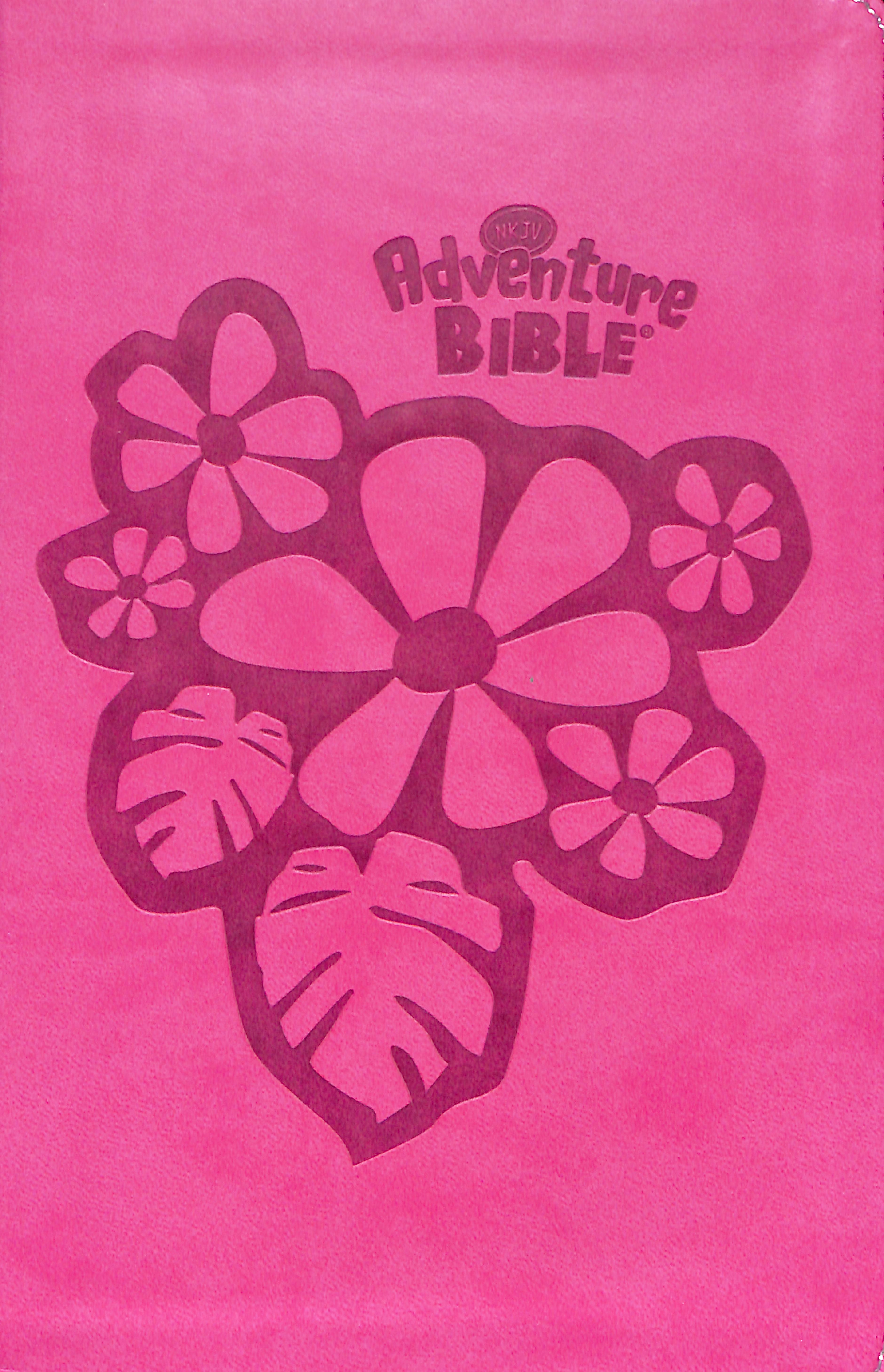 NKJV Adventure Bible Pink (Black Letter Edition)