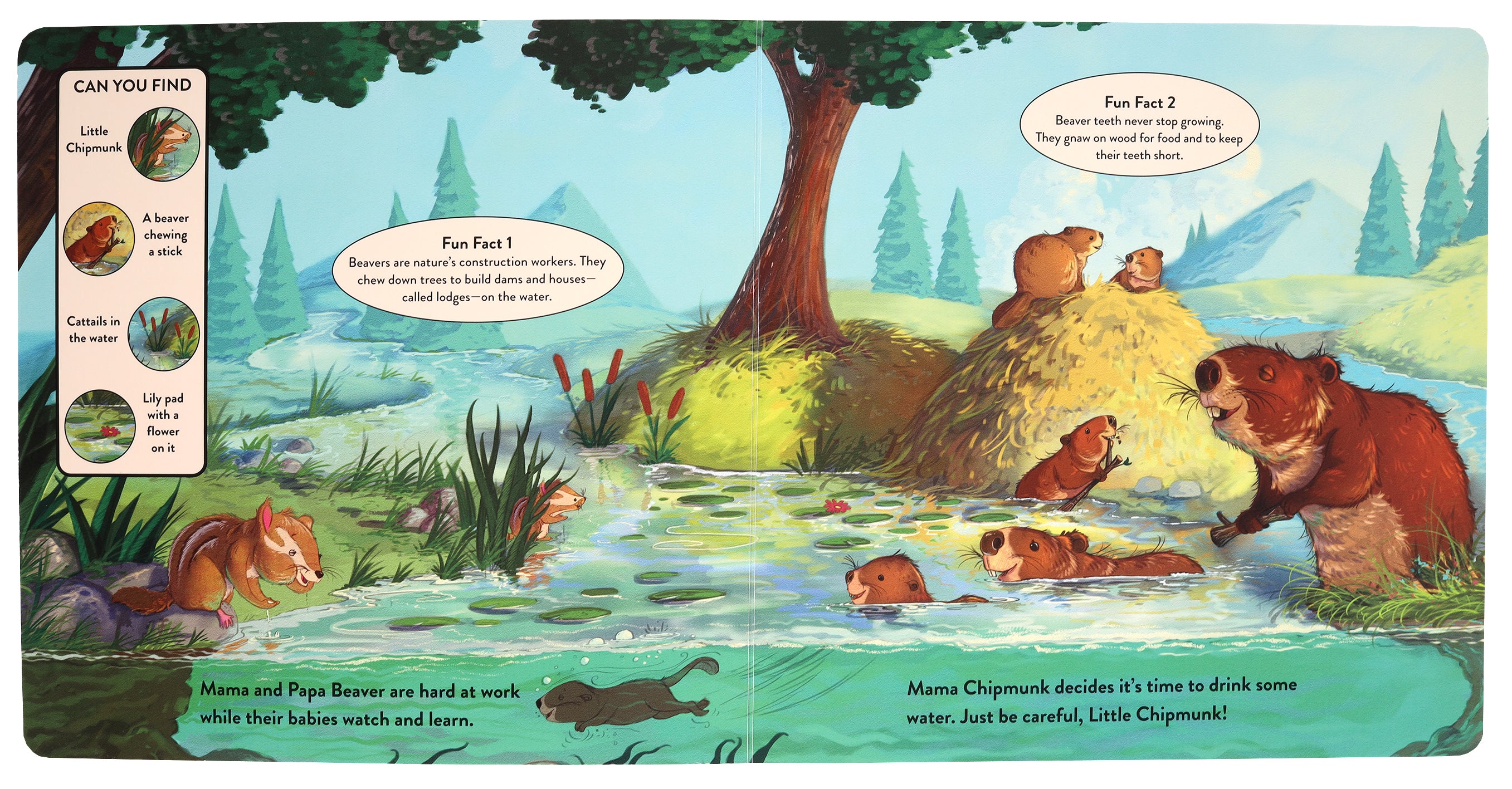 Let's Learn About the Forest: A Seek-And-Find Story Through God's Creation