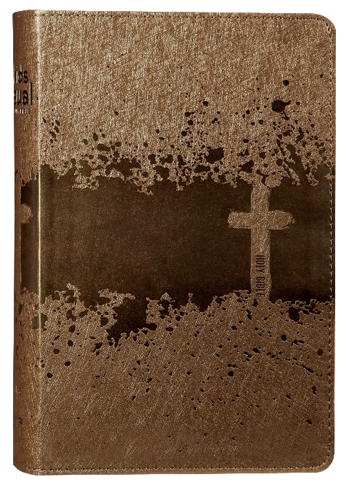 NIV Kids' Visual Study Bible Bronze Full Colour Interior