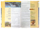 NIV Kids' Visual Study Bible Full Color Interior