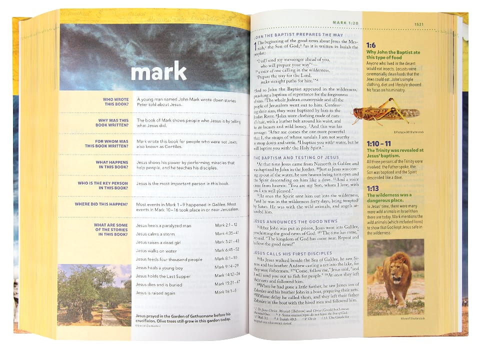 NIV Kids' Visual Study Bible Full Color Interior