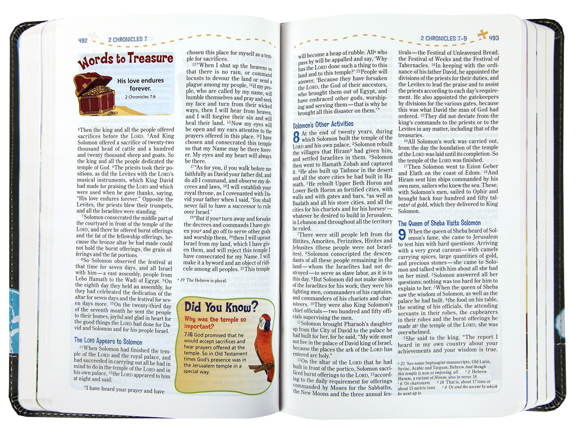 NIV Adventure Bible Gray (Black Letter Edition)