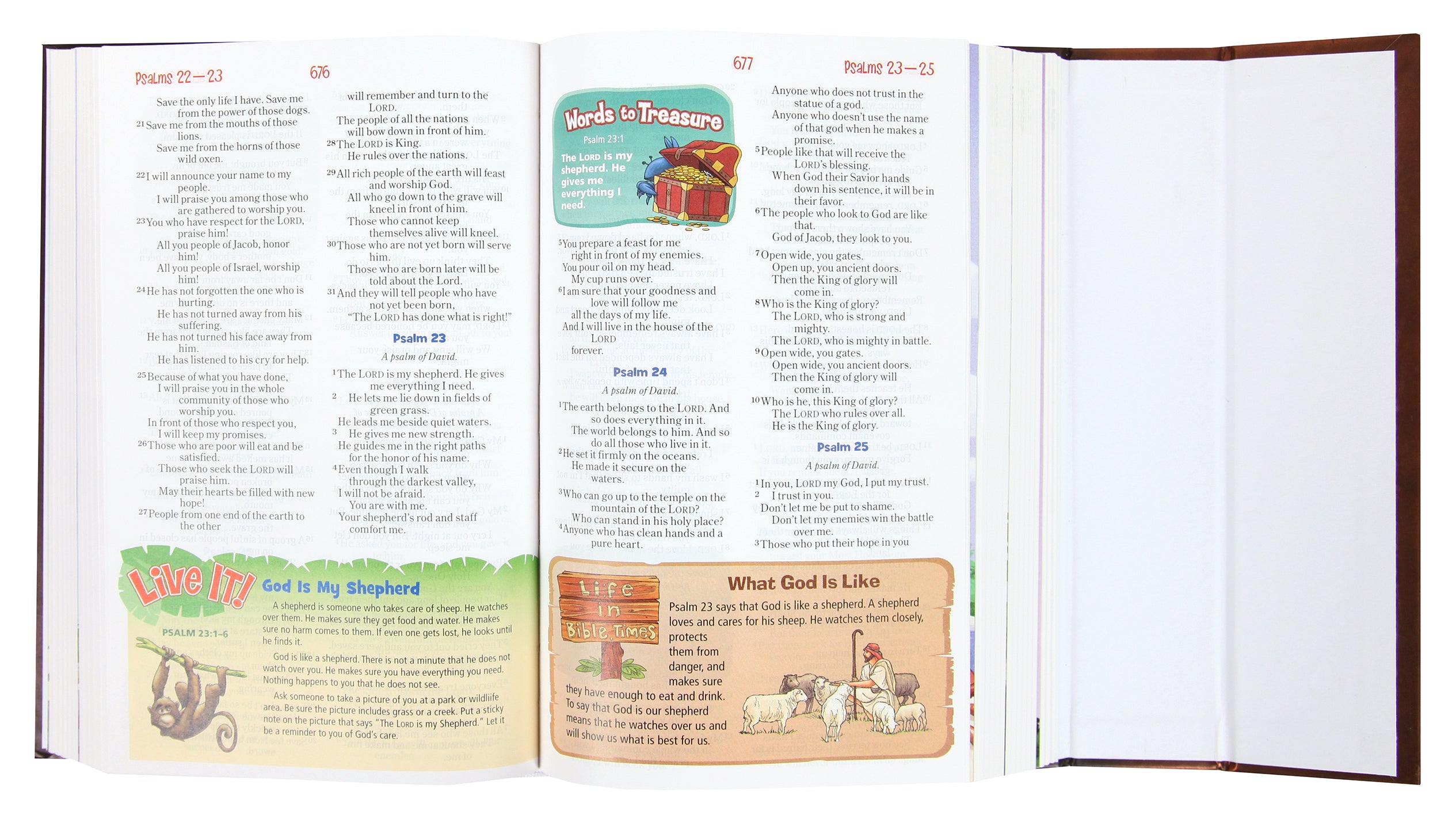 NIRV Adventure Bible For Early Readers With Lion Magnetic Closure (Black Letter)