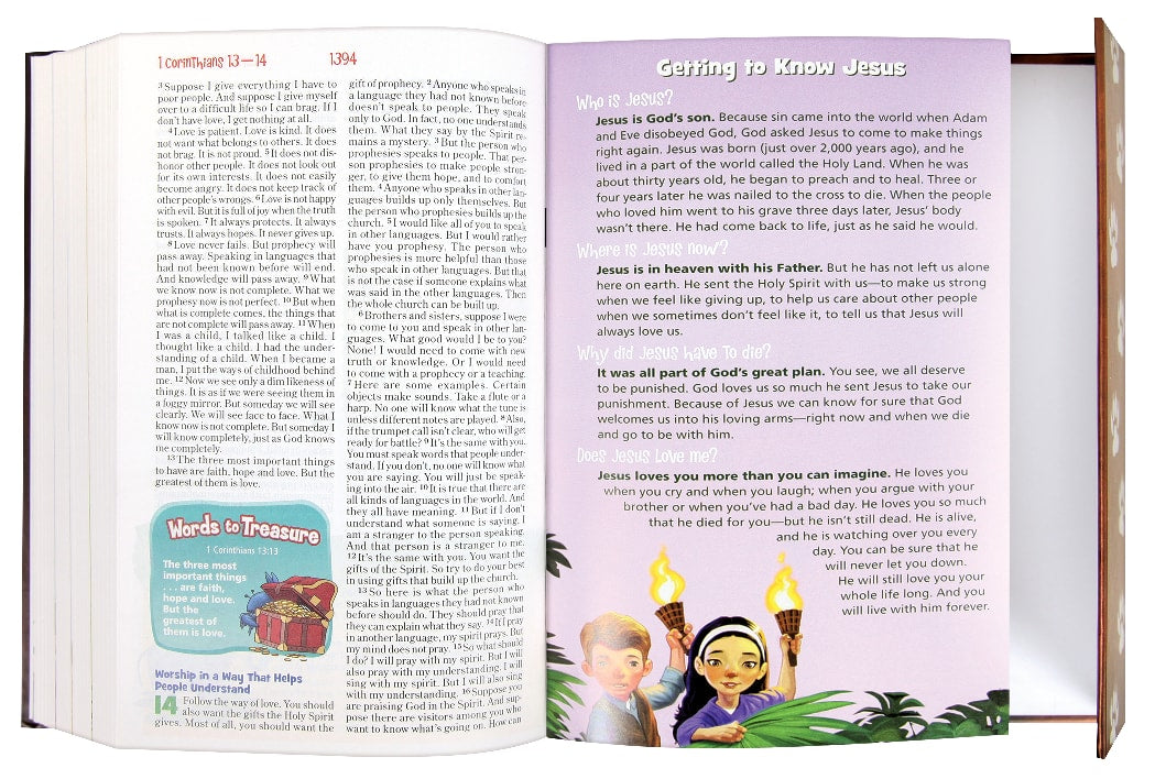NIRV Adventure Bible For Early Readers With Lion Magnetic Closure (Black Letter)