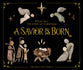 A Savior is Born: Rocks Tell the Story of Christmas
