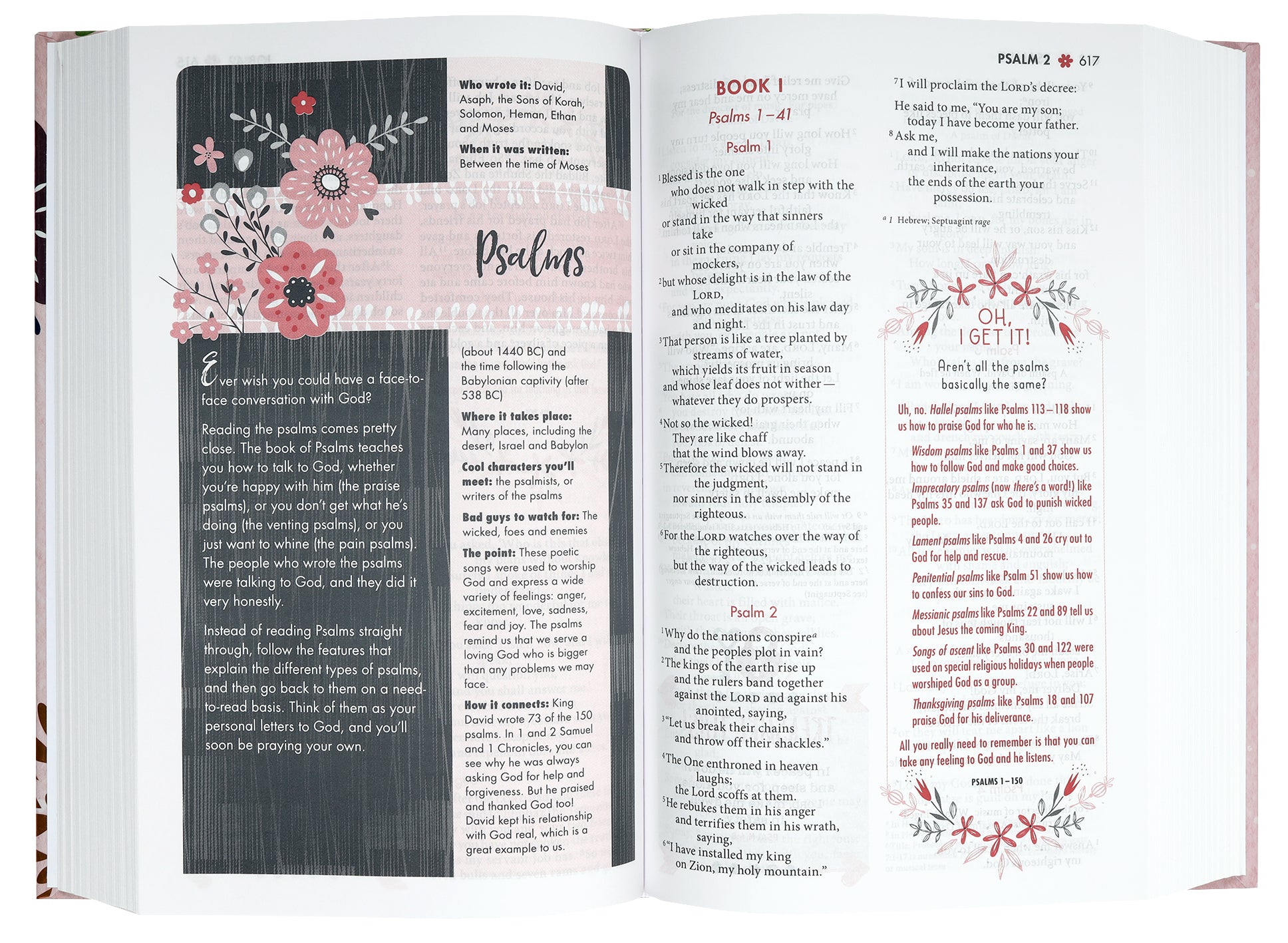 NIV Ultimate Bible For Girls (Faithgirlz! Series)