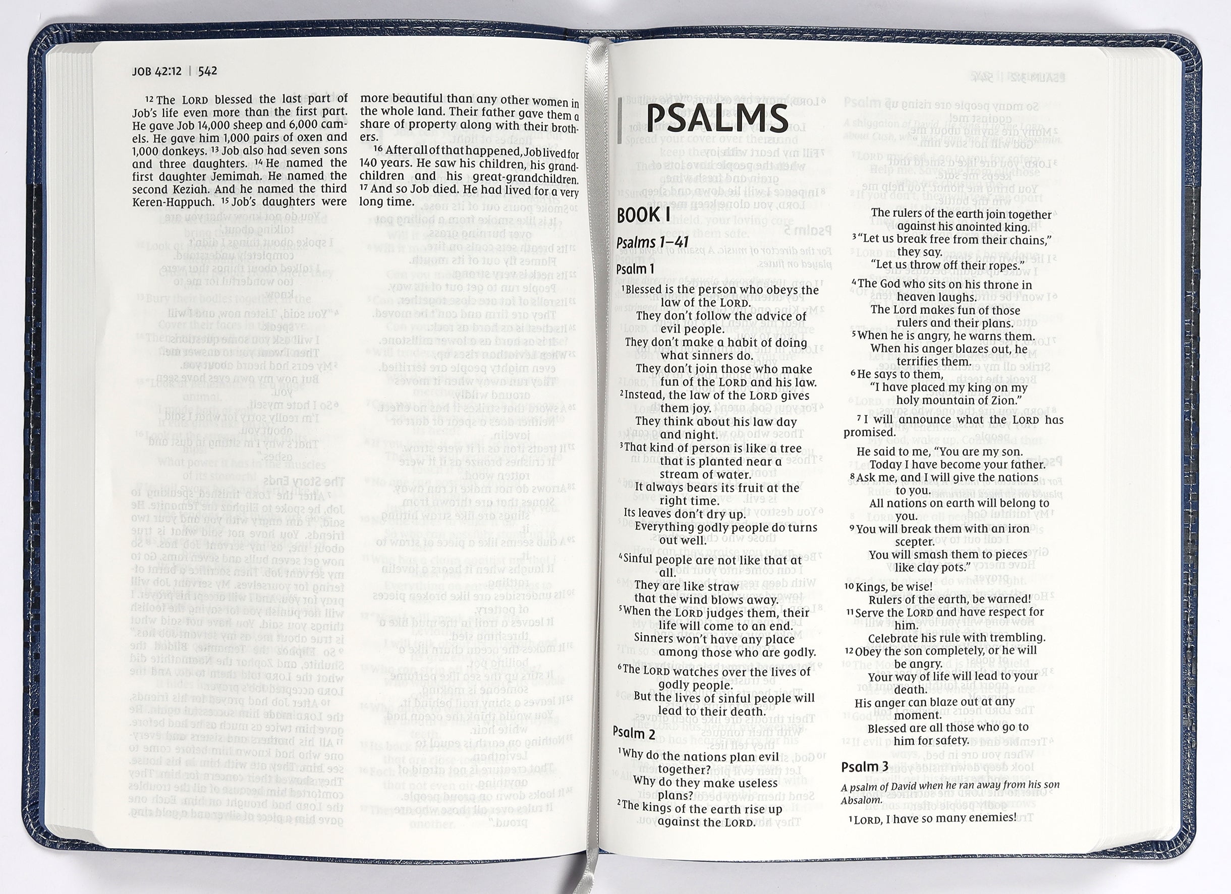 NIRV Bible For Kids Large Print Blue (Red Letter Edition)