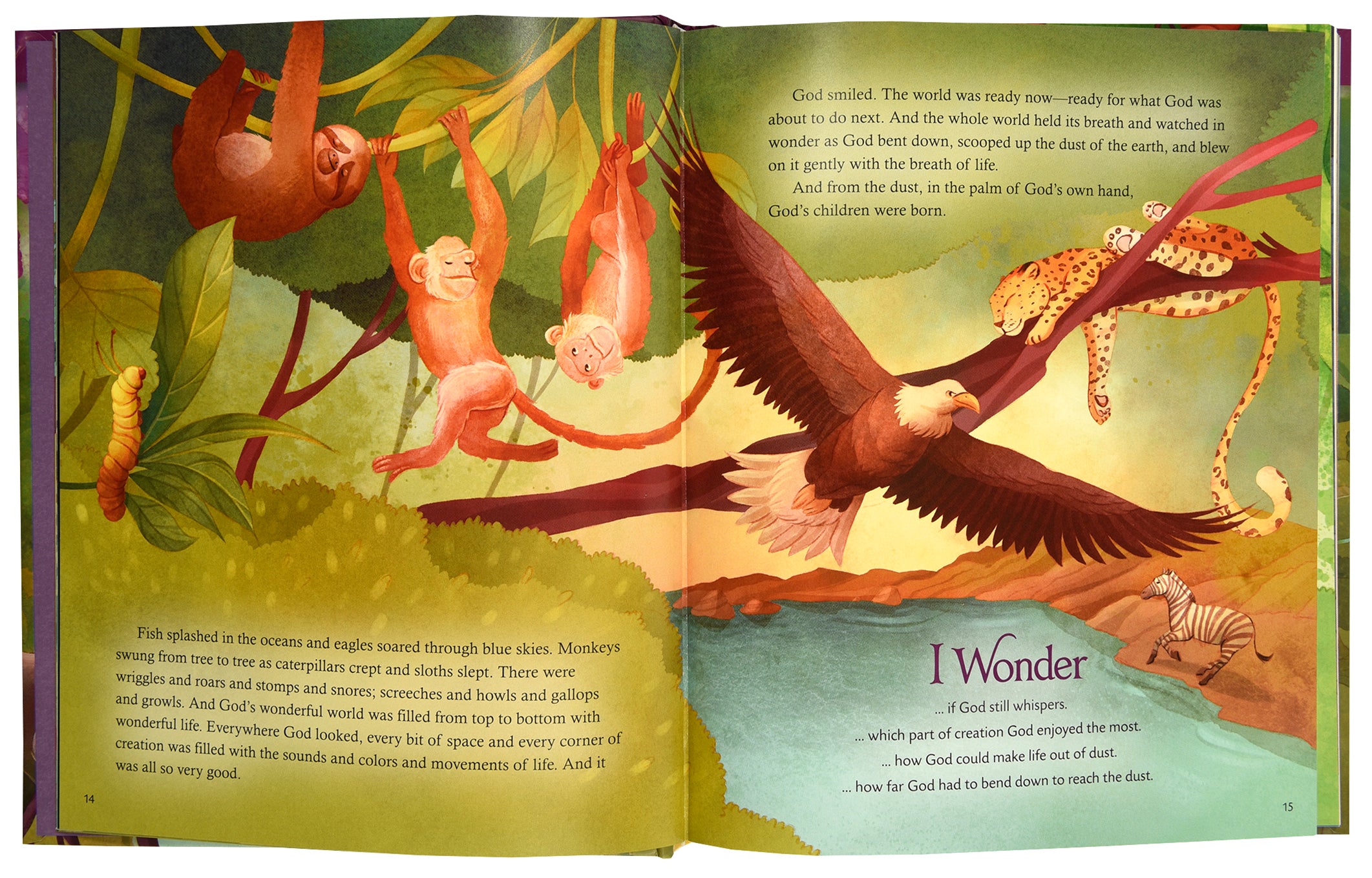 I Wonder: Exploring God's Grand Story: An Illustrated Bible