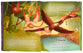 I Wonder: Exploring God's Grand Story: An Illustrated Bible
