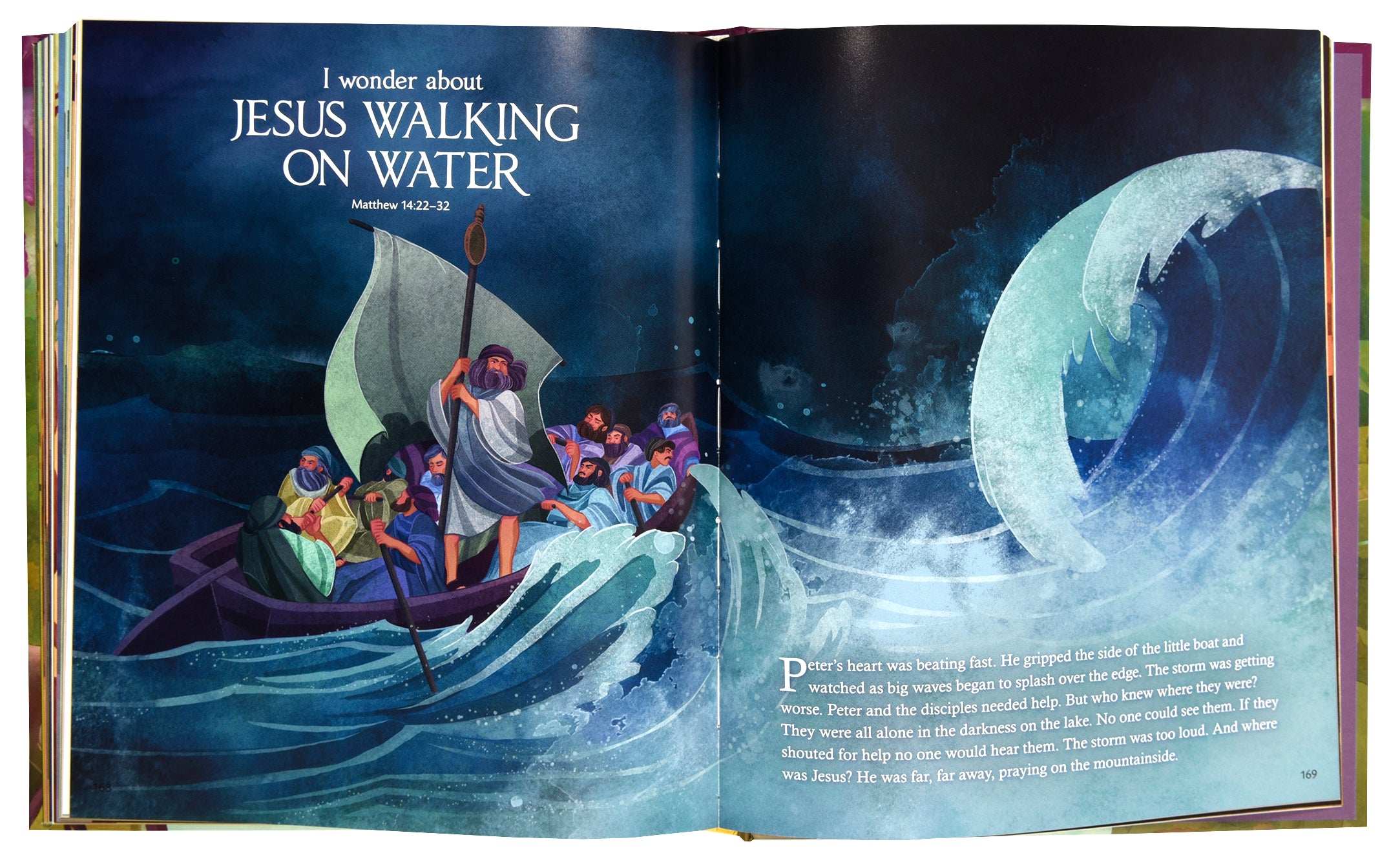 I Wonder: Exploring God's Grand Story: An Illustrated Bible