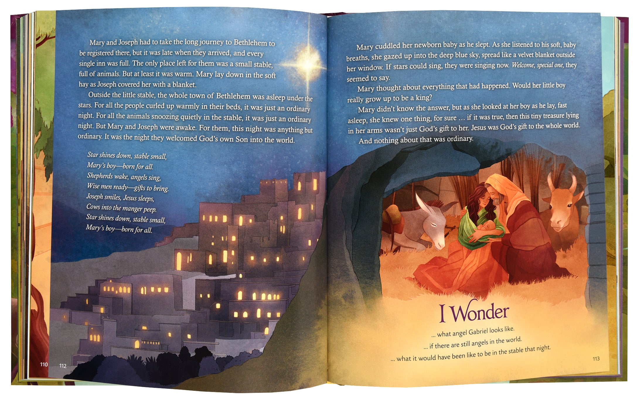 I Wonder: Exploring God's Grand Story: An Illustrated Bible