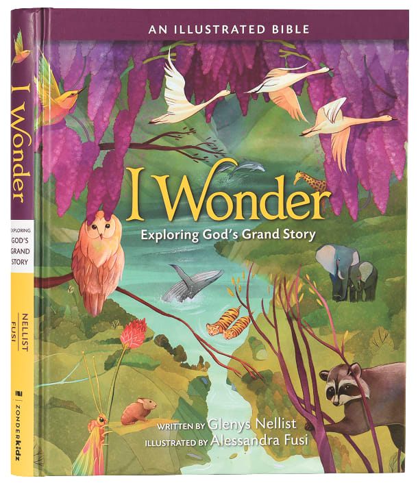 I Wonder: Exploring God's Grand Story: An Illustrated Bible
