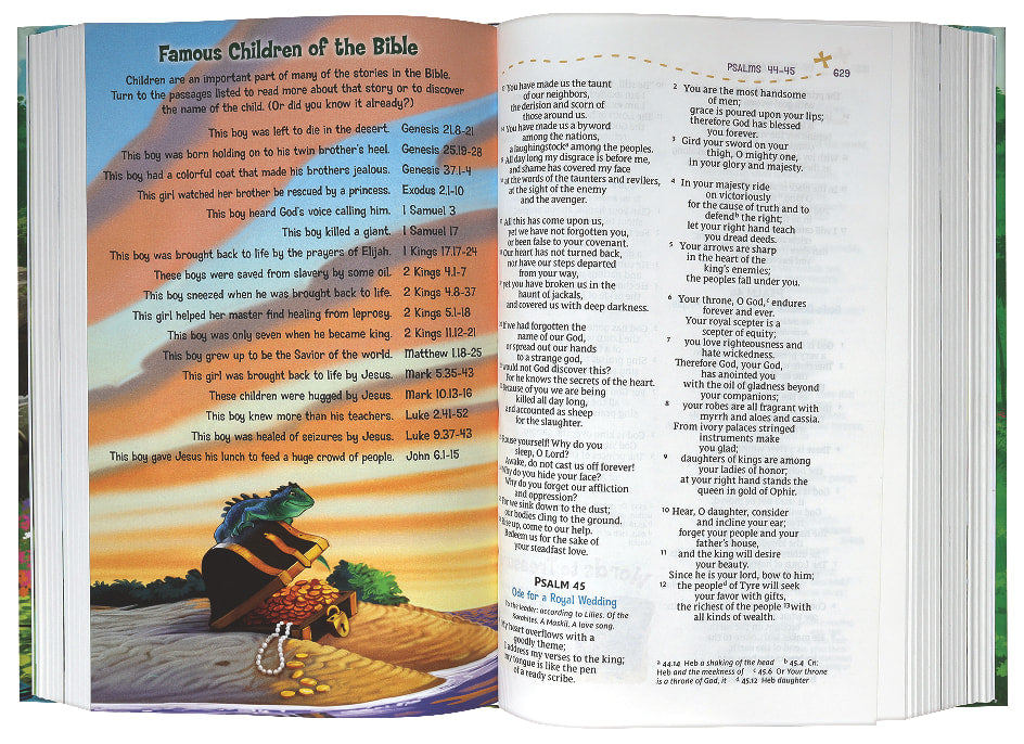 NRSV Adventure Bible