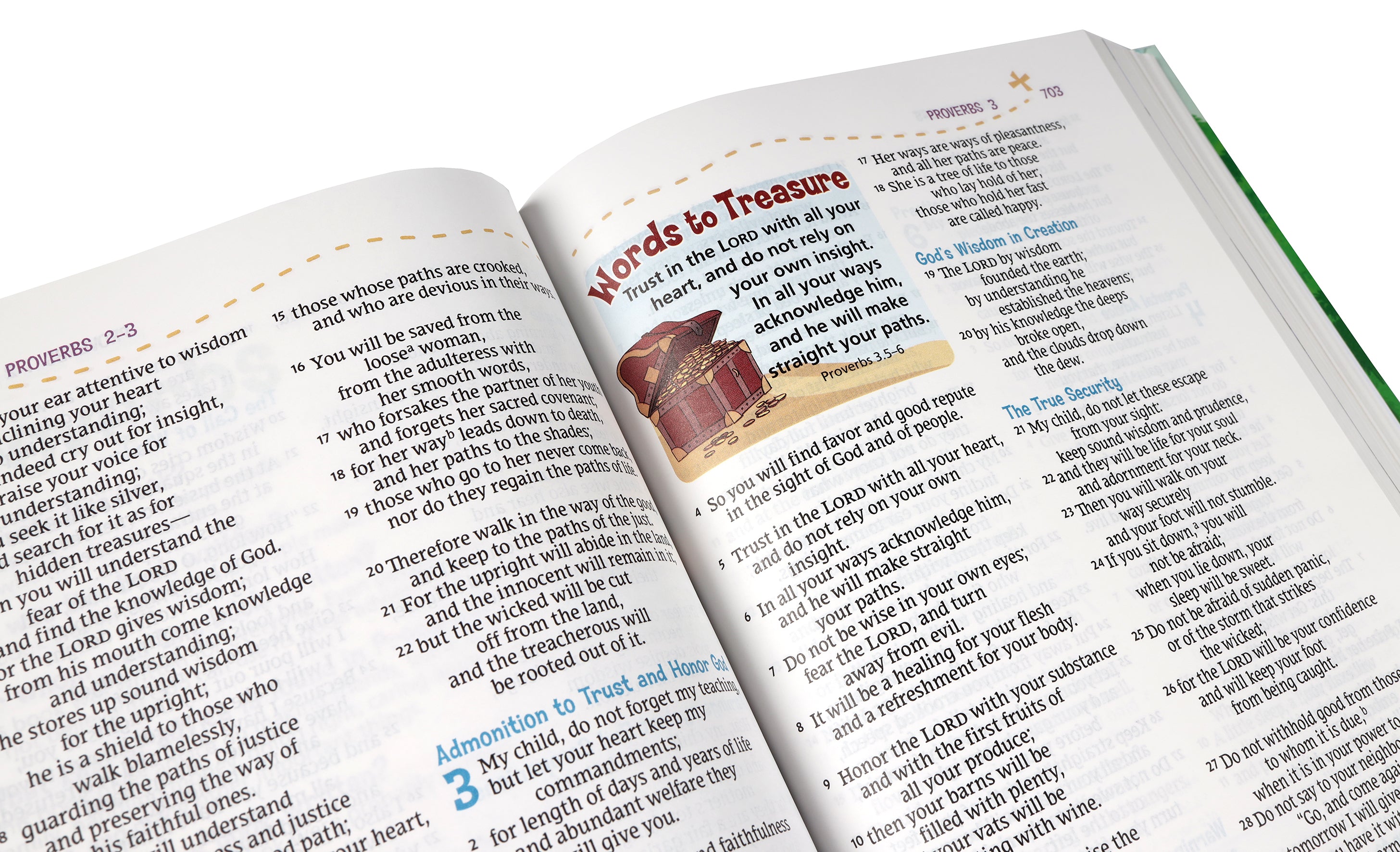 NRSV Adventure Bible
