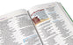 NRSV Adventure Bible