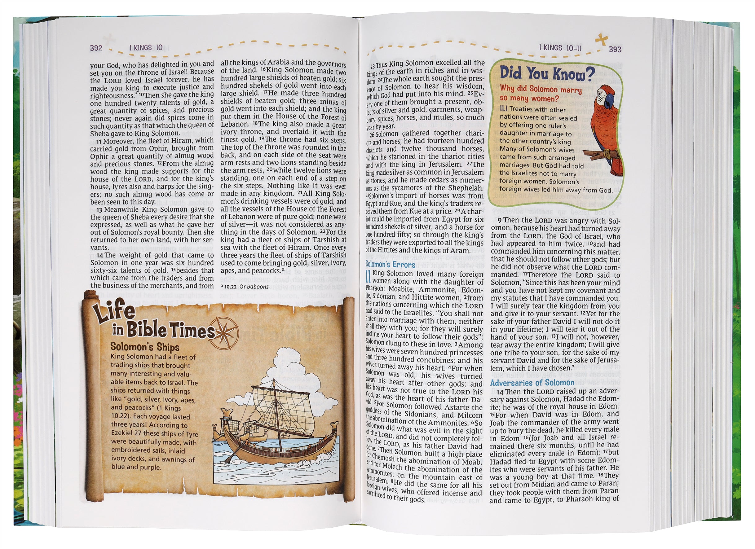 NRSV Adventure Bible