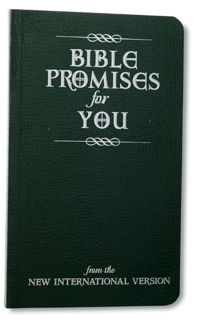 Bible Promises For You (Niv)