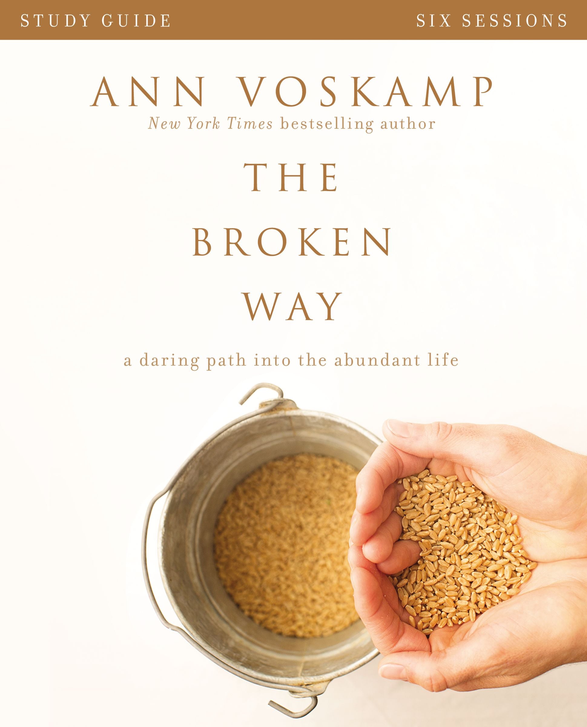 The Broken Way (Study Guide)
