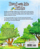 Read With Me Bible An NIRV Story Bible (2000)