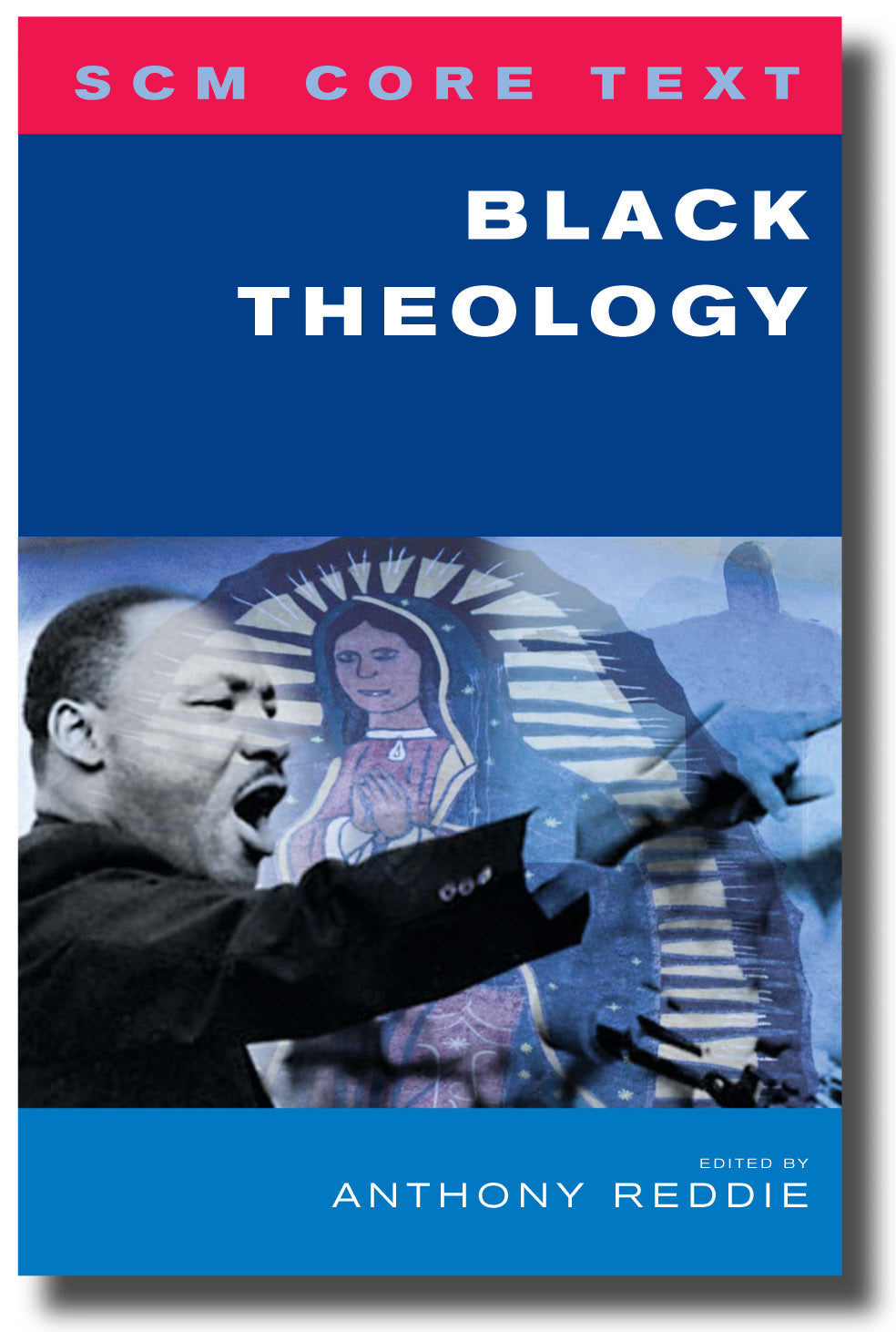 Black Theology (Scm Core Texts Series)