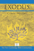 Exodus (New Cambridge Bible Commentary Series)
