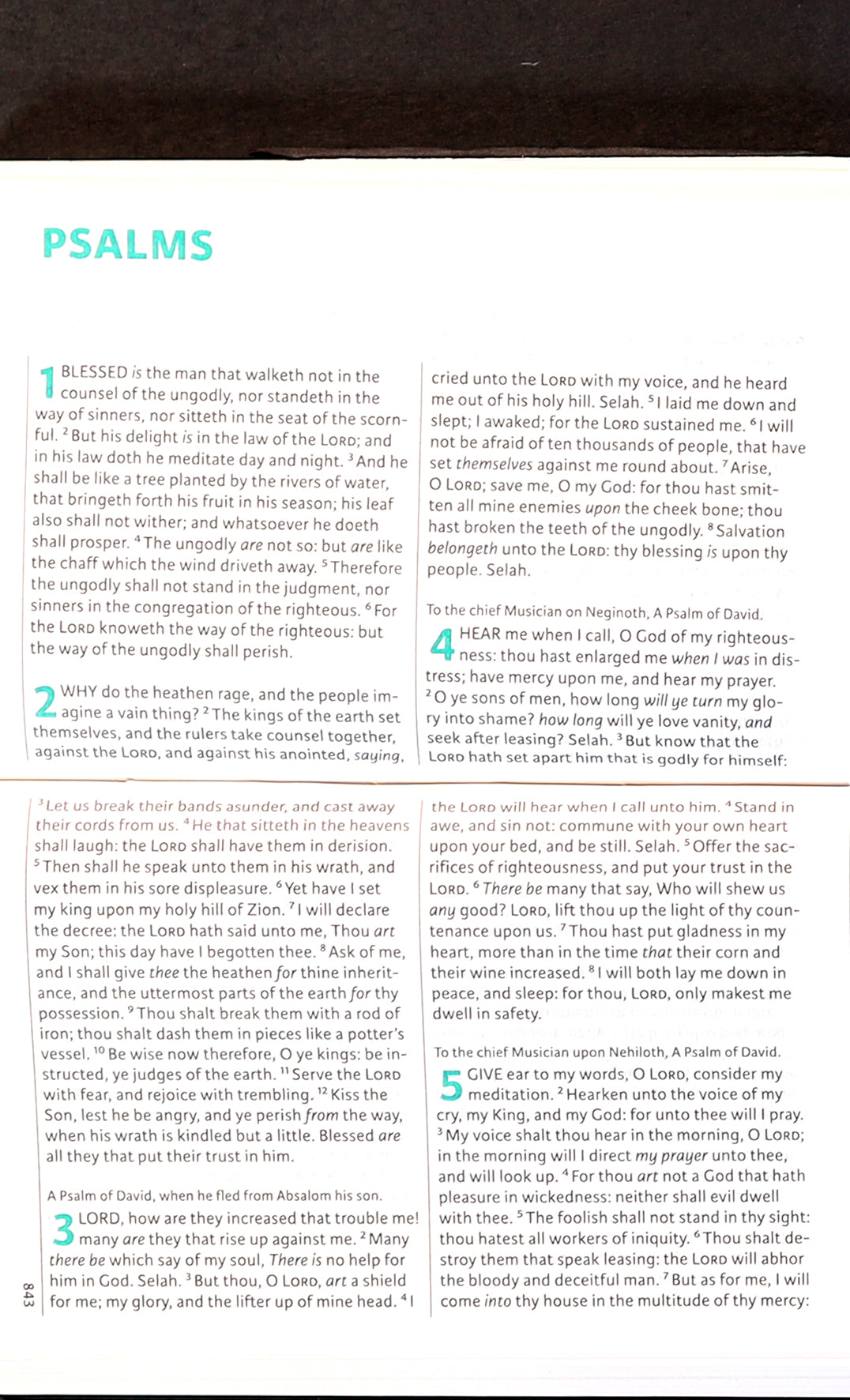KJV Transetto Text Purple