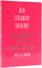 The Theology of the Gospel of Luke (Cambridge New Testament Theology Series)