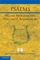 Psalms (New Cambridge Bible Commentary Series)