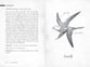 Pembrick's Creaturepedia (The Wingfeather Saga Series)