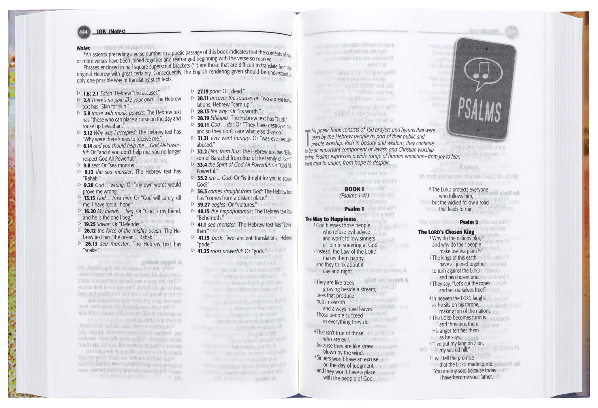 CEV Youth Global Bible