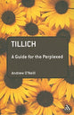 Tillich (Guides For The Perplexed Series)